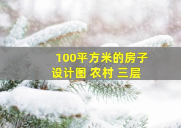 100平方米的房子设计图 农村 三层